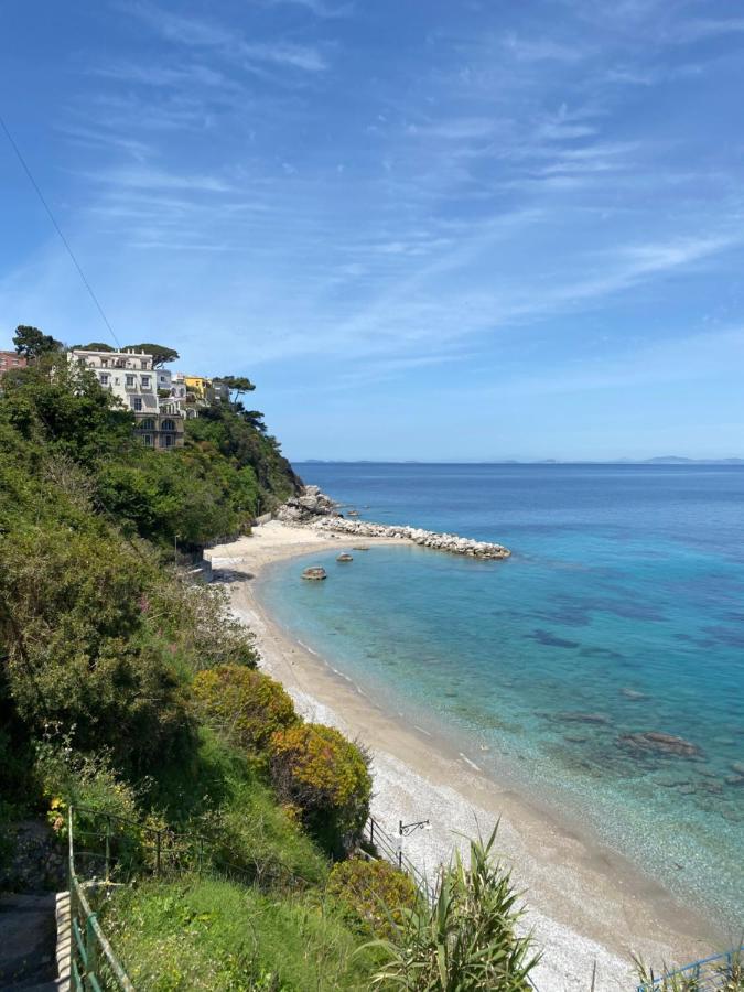La Baia Di Napoli *